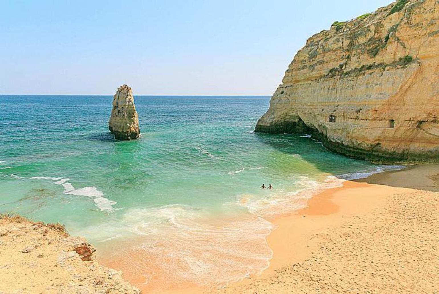 Amendoeira